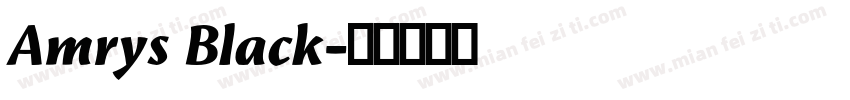Amrys Black字体转换